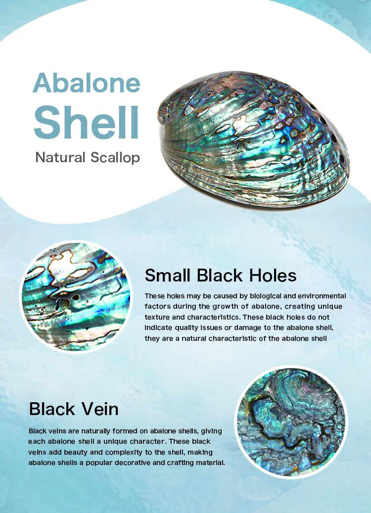 Eudora 925 Sterling Silver Witch Knot Necklace for Men Women Natural Abalone Shell Witchcraft Amulet Pendant Wicca Jewelry Gift – Image 15